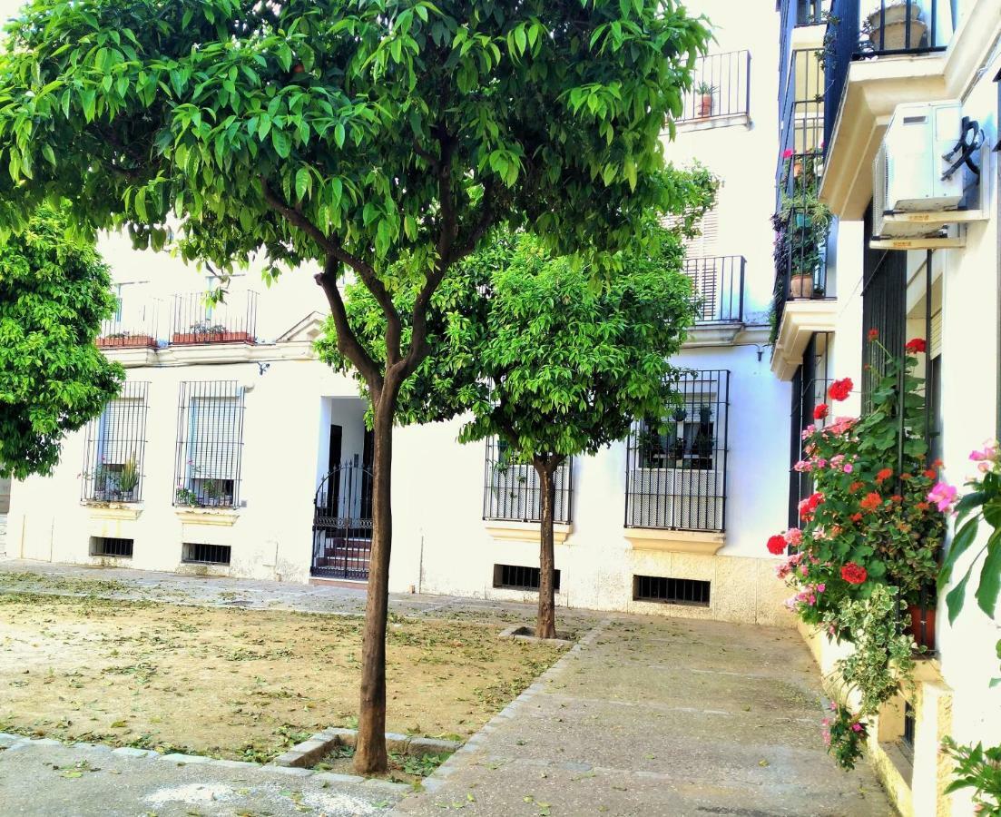 Apartamento Plaza Compania Jerez Jerez de la Frontera Esterno foto