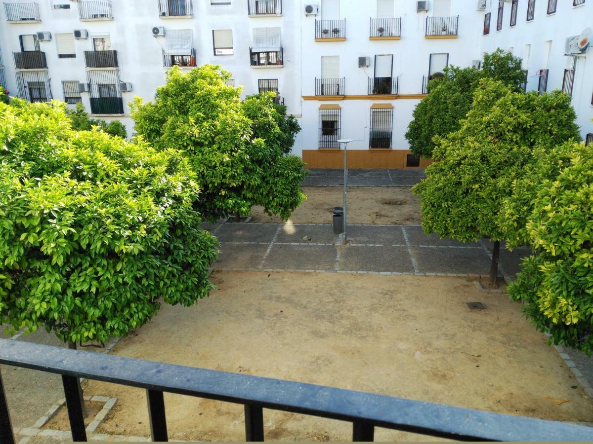 Apartamento Plaza Compania Jerez Jerez de la Frontera Esterno foto