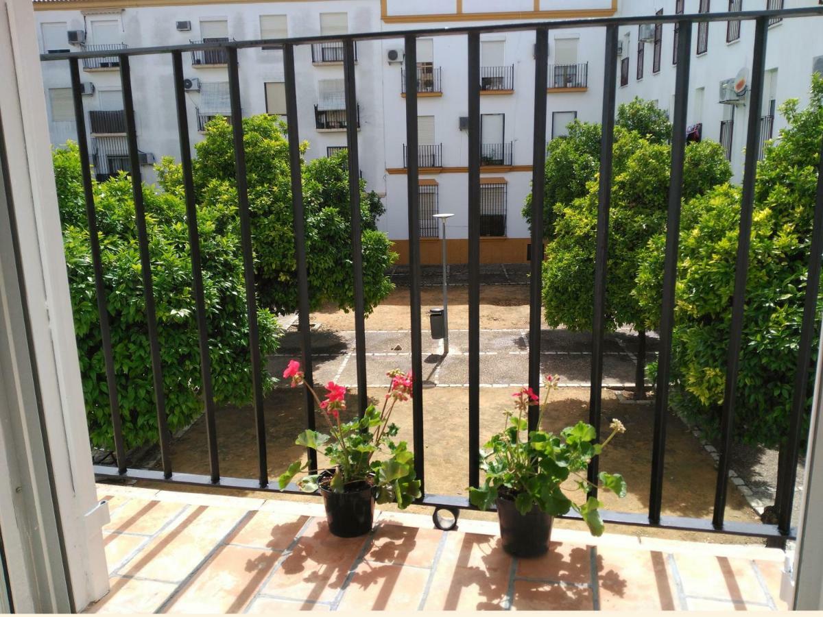 Apartamento Plaza Compania Jerez Jerez de la Frontera Esterno foto