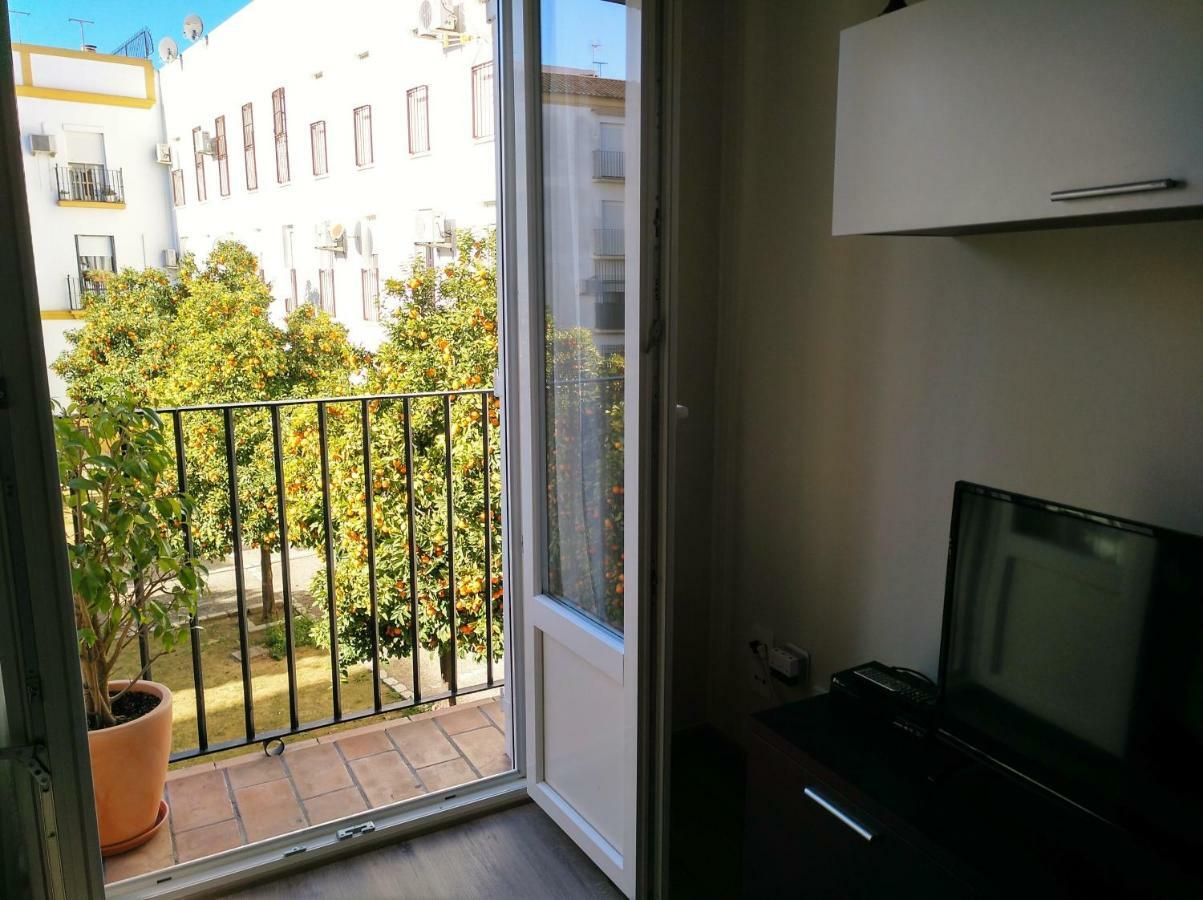 Apartamento Plaza Compania Jerez Jerez de la Frontera Esterno foto
